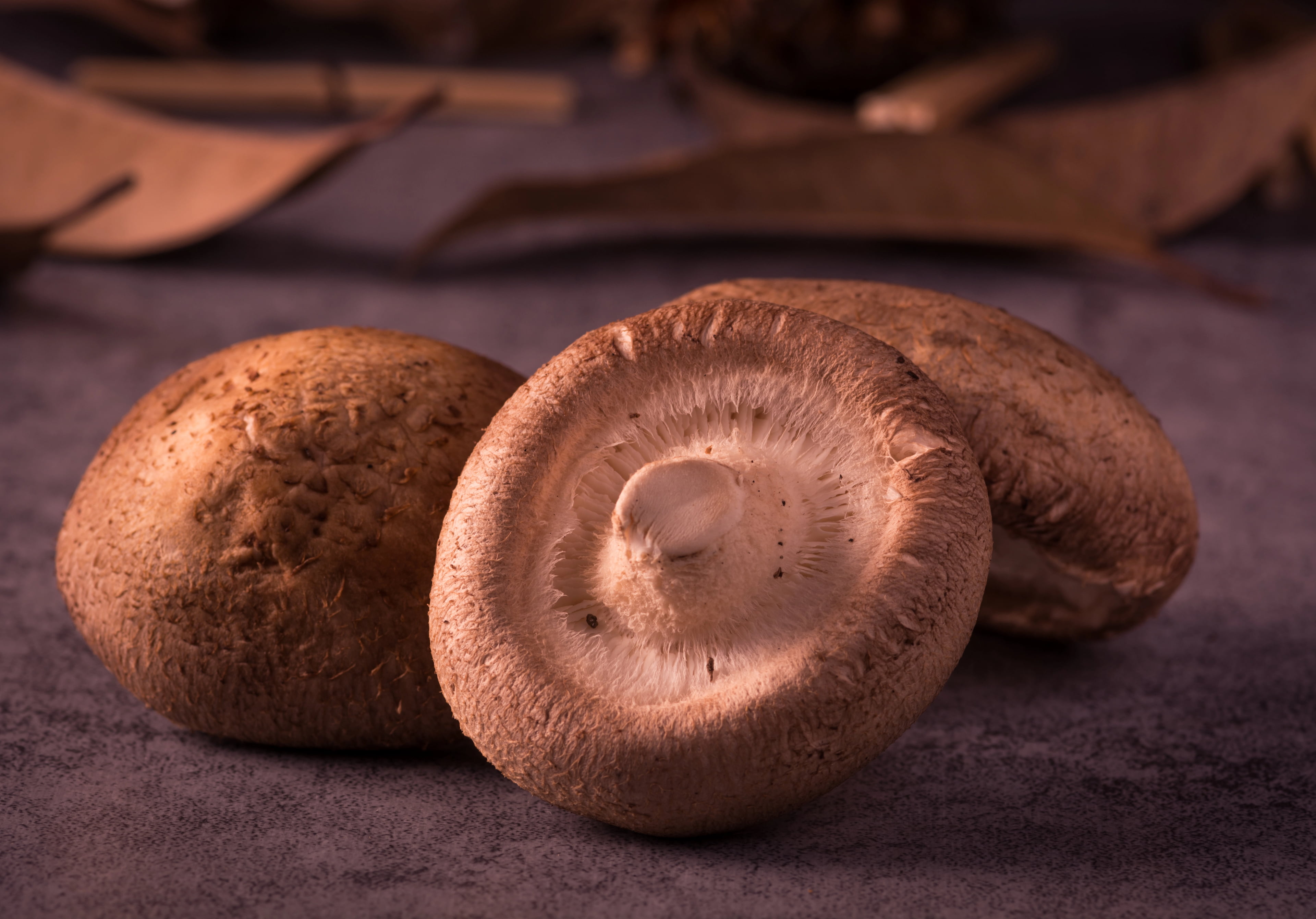 Fresh Portobello mushrooms from SP Harvest Sri Lanka